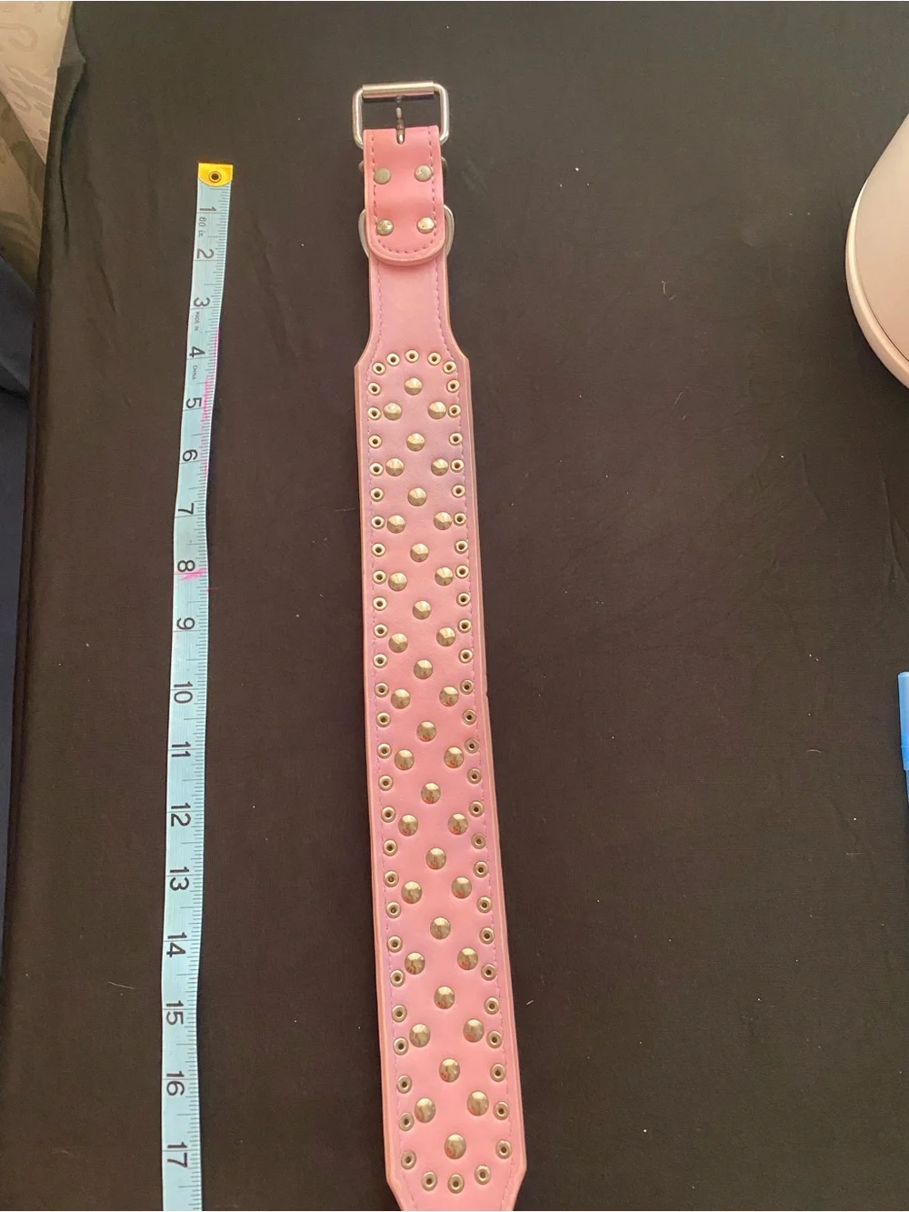 Spiked dog collar